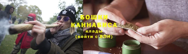 трава Арсеньев