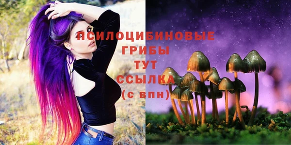 MDMA Premium VHQ Новодвинск